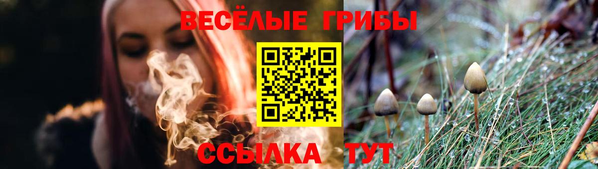 Псилоцибиновые грибы прущие грибы  Галлюциногенные грибы Psilocybine cubensis  Воркута  Вход с VPN 